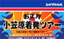 おがさわら丸 お正月小笠原着発ツアー
